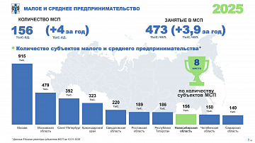 Оборот организаций МСП в регионе составил половину от оборота всех организаций 